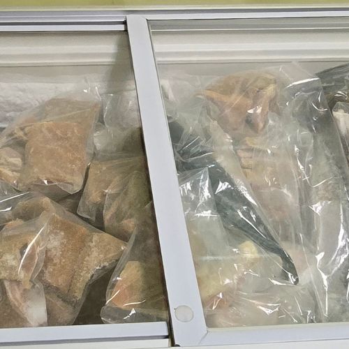 Protein and Frozen Foods